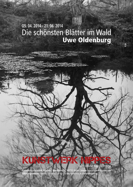 Die schönsten Blätter im Wald 
