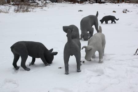 Gruppendynamik 
