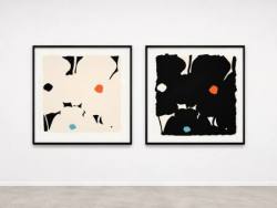 Donald Sultan White Poppies with Colors - neue 2026 Edition veröffentlicht