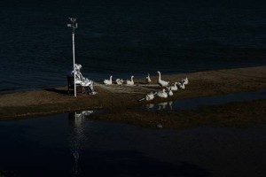 [Ausstellung] 21.01. bis 06.03.2011: Agnes Meyer-Brandis – Beyond