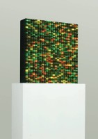 Melitta Moschik : GENOME IMAGING Installation