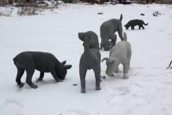 Gruppendynamik 