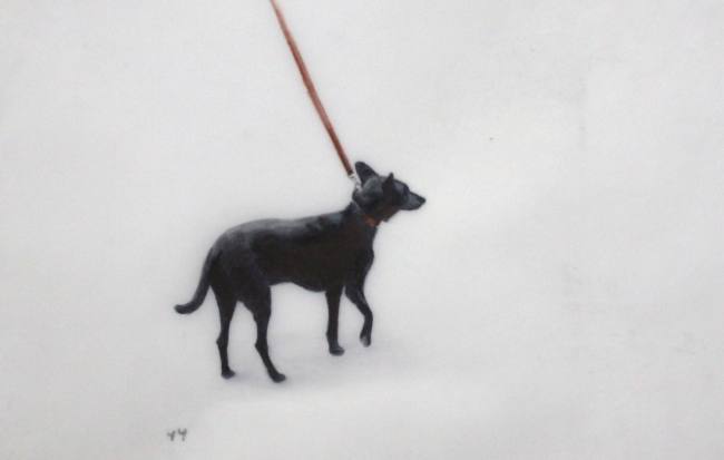DOG #44