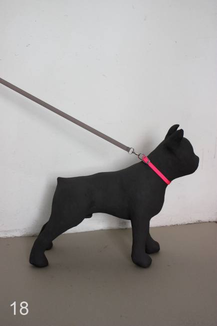Dog #18